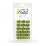 Warhammer Paints® - Verdia Veldt Tufts
