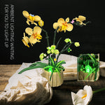 JIE STAR JJ9067 Orchideen Klemmbaustein-Modell, Ansicht des kompletten Sets