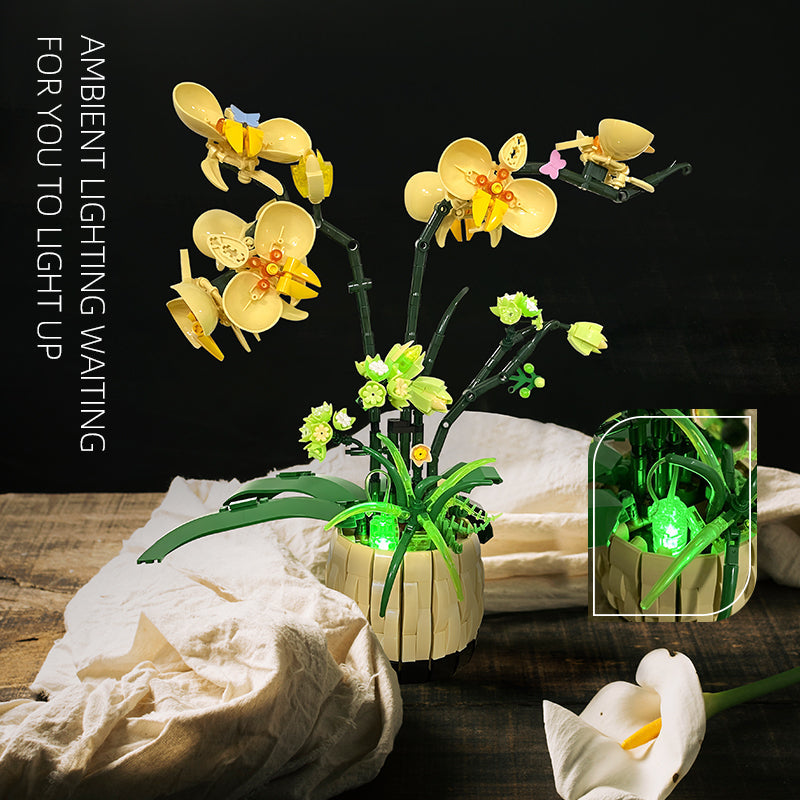 JIE STAR JJ9067 Orchideen Klemmbaustein-Modell, Ansicht des kompletten Sets