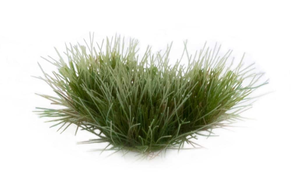 Gamers Grass – Grass Tufts: Strong Green 6mm, Ansicht 2